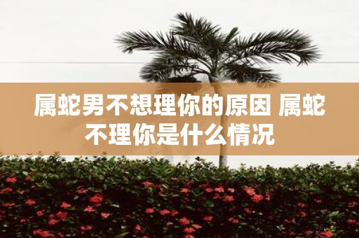 属蛇男不想理你的原因 属蛇不理你是什么情况 属蛇男不想理你的原因 属蛇不理你是什么情况