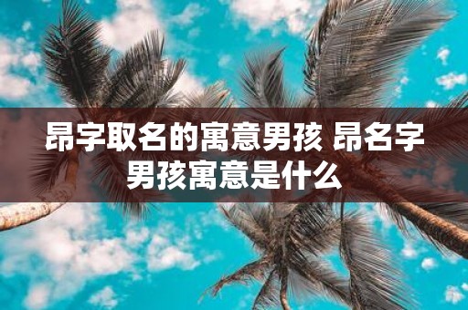 昂字取名的寓意男孩 昂名字男孩寓意是什么