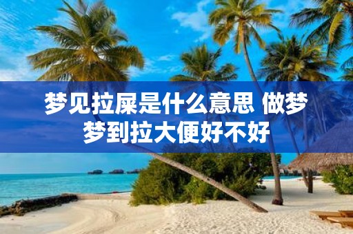 梦见拉屎是什么意思 做梦梦到拉大便好不好