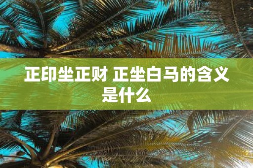 正印坐正财 正坐白马的含义是什么