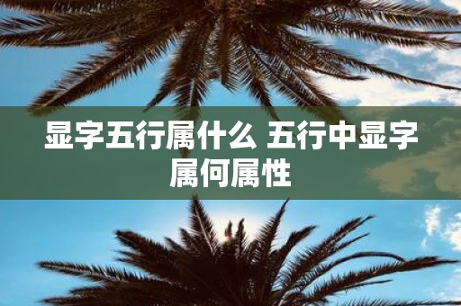 显字五行属什么 五行中显字属何属性