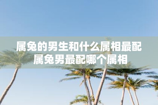 属兔的男生和什么属相最配 属兔男最配哪个属相