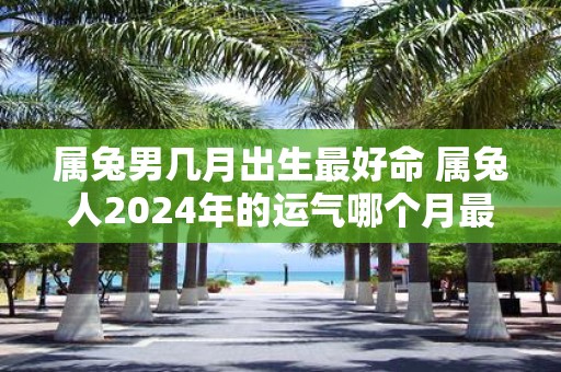 属兔男几月出生最好命 属兔人2025年的运气哪个月最好