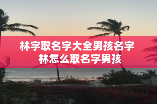 林字取名字大全男孩名字 林怎么取名字男孩