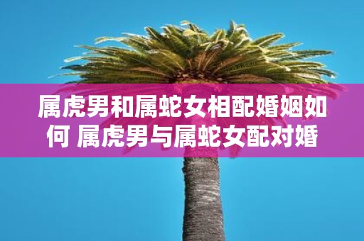 属虎男和属蛇女相配婚姻如何 属虎男与属蛇女配对婚姻如何