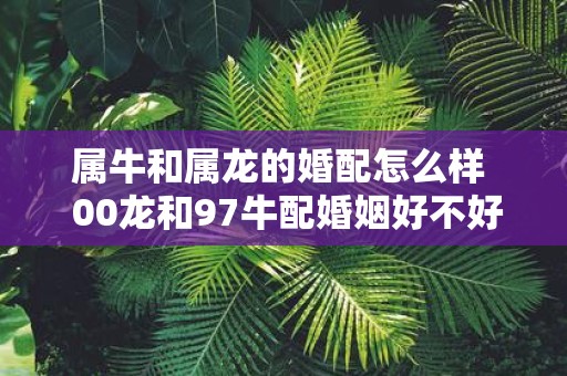 属牛和属龙的婚配怎么样 00龙和97牛配婚姻好不好