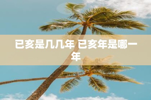 已亥是几几年 已亥年是哪一年