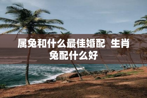 属兔和什么最佳婚配 生肖兔配什么好