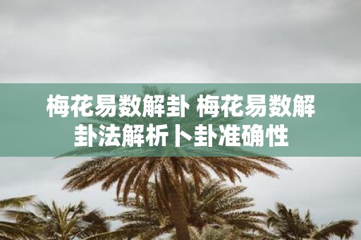 梅花易数解卦 梅花易数解卦法解析卜卦准确性
