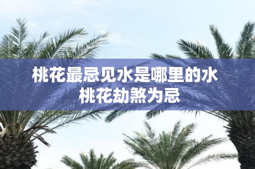 桃花最忌见水是哪里的水 桃花劫煞为忌