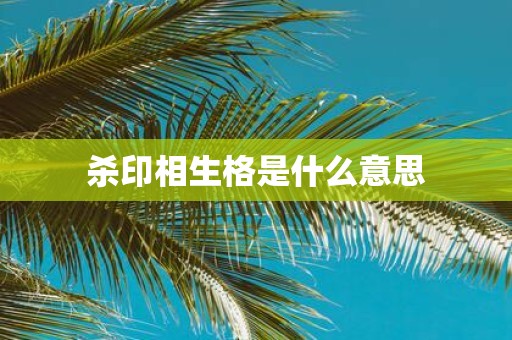杀印相生格是什么意思