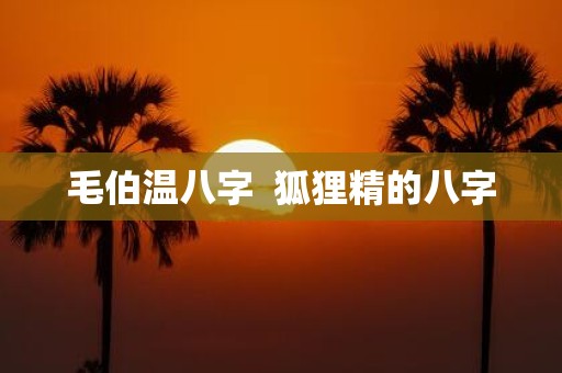 毛伯温八字 狐狸精的八字