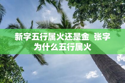 新字五行属火还是金 张字为什么五行属火