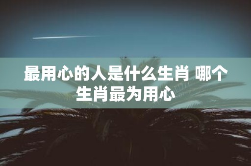 最用心的人是什么生肖 哪个生肖最为用心