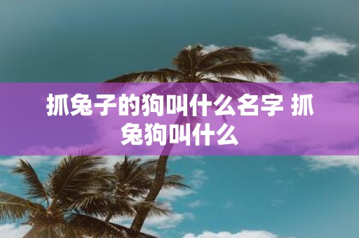 抓兔子的狗叫什么名字 抓兔狗叫什么