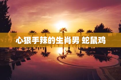 心狠手辣的生肖男 蛇鼠鸡