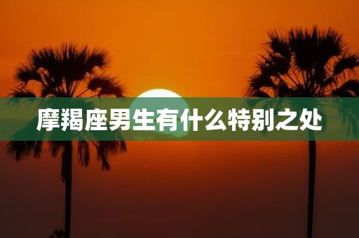 摩羯座男生有什么特别之处