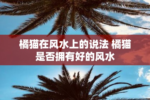 橘猫在风水上的说法 橘猫是否拥有好的风水