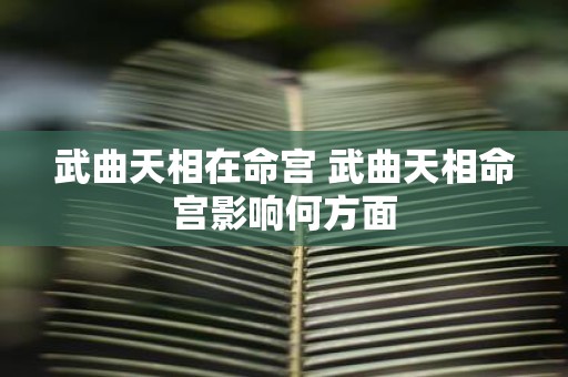 武曲天相在命宫 武曲天相命宫影响何方面