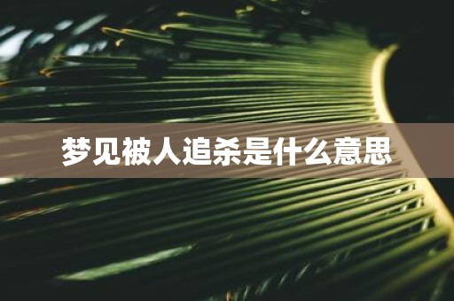 梦见被人追杀是什么意思