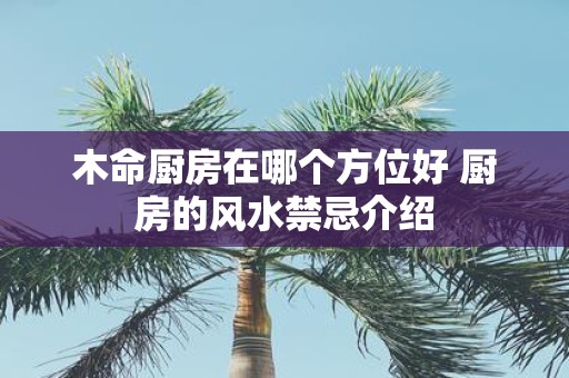 木命厨房在哪个方位好 厨房的风水禁忌介绍