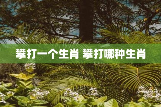 攀打一个生肖 攀打哪种生肖