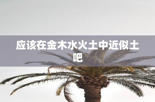 应该在金木水火土中近似土吧