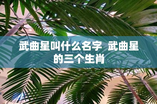武曲星叫什么名字 武曲星的三个生肖