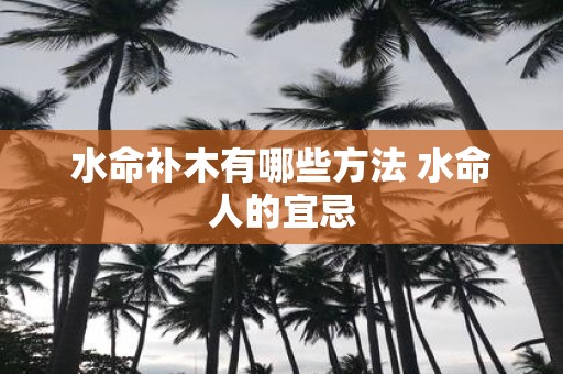 水命补木有哪些方法 水命人的宜忌