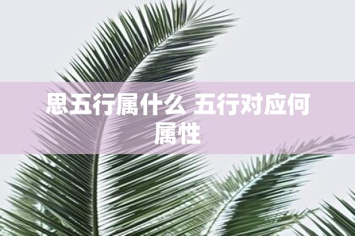 思五行属什么 五行对应何属性