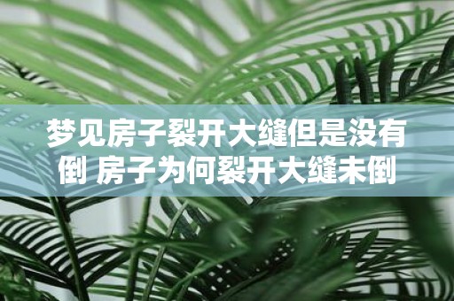 梦见房子裂开大缝但是没有倒 房子为何裂开大缝未倒