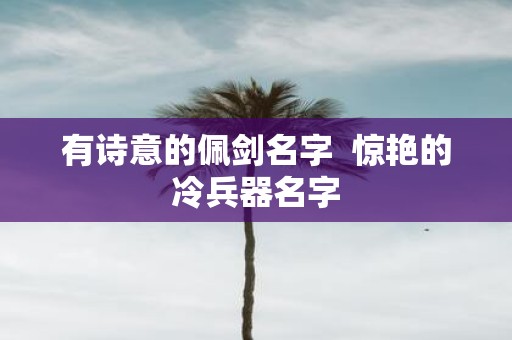 有诗意的佩剑名字 惊艳的冷兵器名字