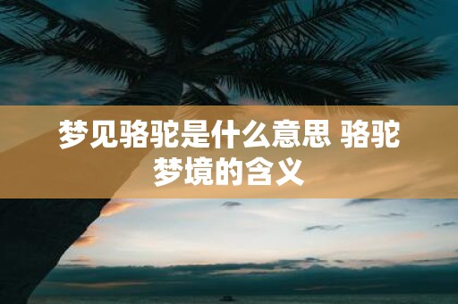 梦见骆驼是什么意思 骆驼梦境的含义