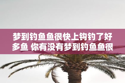 梦到钓鱼鱼很快上钩钓了好多鱼 你有没有梦到钓鱼鱼很快上钩钓了好多鱼