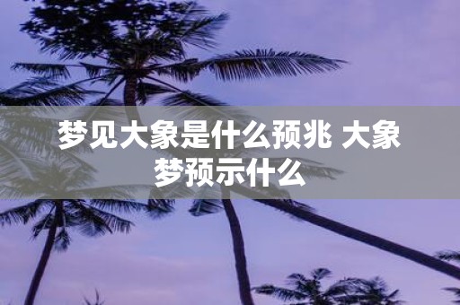 梦见大象是什么预兆 大象梦预示什么