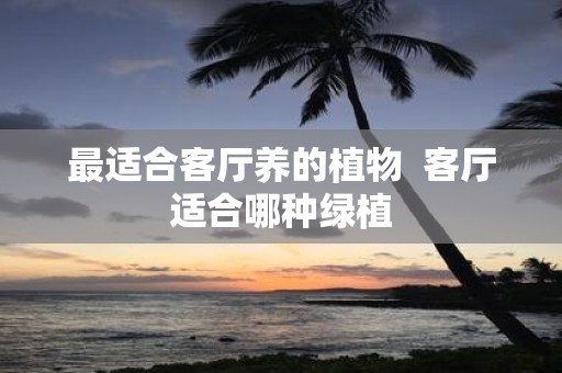 最适合客厅养的植物 客厅适合哪种绿植