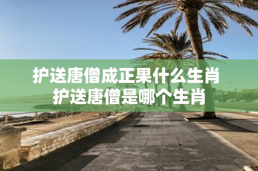 护送唐僧成正果什么生肖 护送唐僧是哪个生肖
