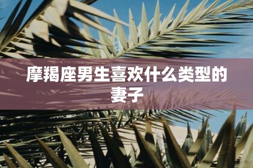 摩羯座男生喜欢什么类型的妻子