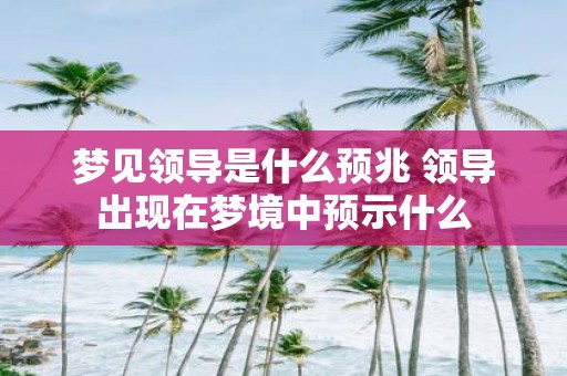 梦见领导是什么预兆 领导出现在梦境中预示什么