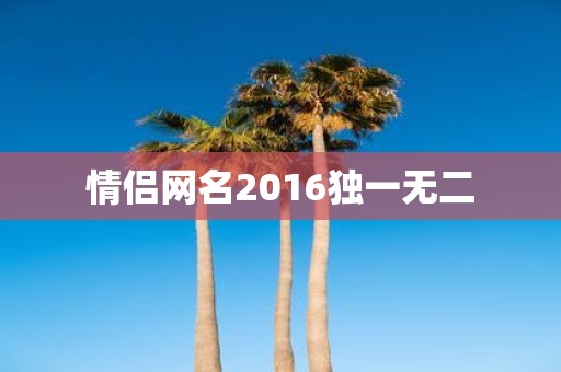 情侣网名2016独一无二