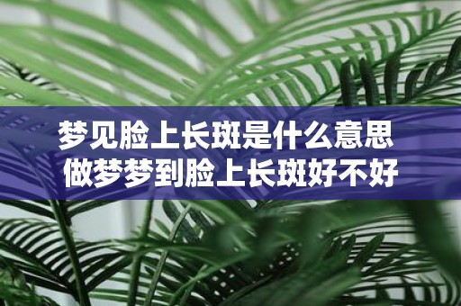 梦见脸上长斑是什么意思 做梦梦到脸上长斑好不好