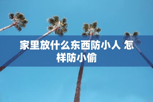 家里放什么东西防小人 怎样防小偷