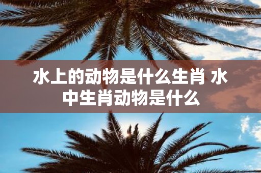 水上的动物是什么生肖 水中生肖动物是什么