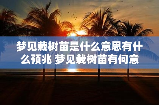 梦见栽树苗是什么意思有什么预兆 梦见栽树苗有何意义