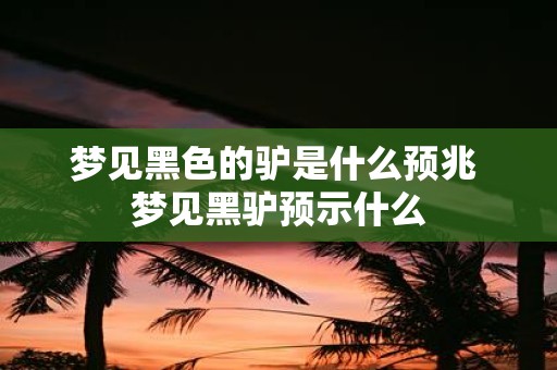 梦见黑色的驴是什么预兆 梦见黑驴预示什么