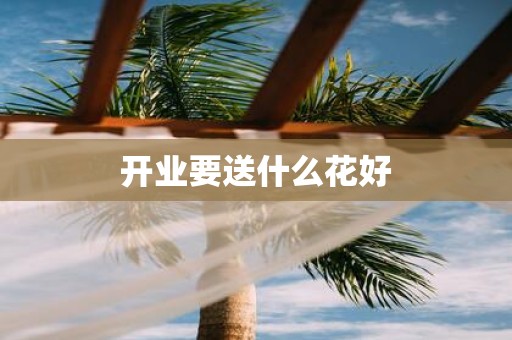 开业要送什么花好