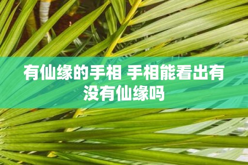 有仙缘的手相 手相能看出有没有仙缘吗