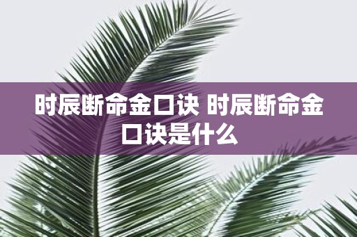 时辰断命金口诀 时辰断命金口诀是什么