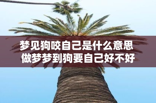 梦见狗咬自己是什么意思 做梦梦到狗要自己好不好