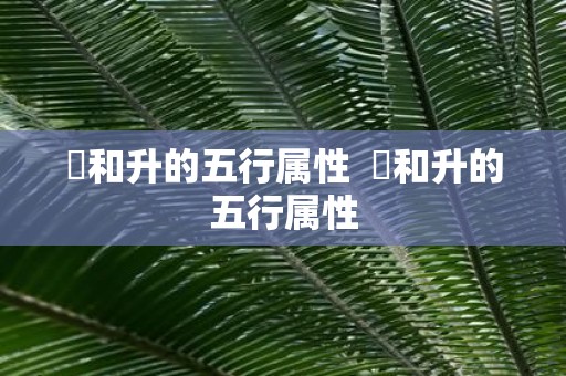 昇和升的五行属性 昇和升的五行属性